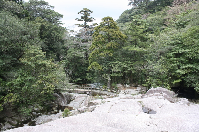 Yakushima National Park, 屋久島 Japan, Osumi Islands,大隅諸島