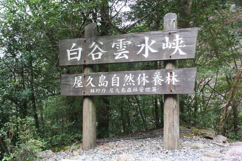 Yakushima National Park, 屋久島 Japan, Osumi Islands,大隅諸島