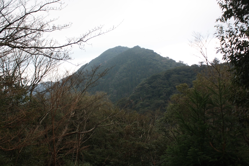 Yakushima National Park, 屋久島 Japan, Osumi Islands,大隅諸島