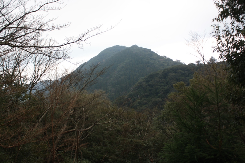 Yakushima National Park, 屋久島 Japan, Osumi Islands,大隅諸島