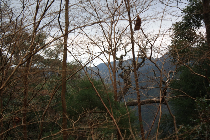 Yakushima National Park, 屋久島 Japan, Osumi Islands,大隅諸島