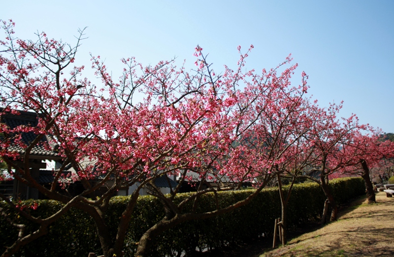 Sengan-en, villa, 仙巌園,  Iso-teien, 磯庭園, Kagoshima, Japan