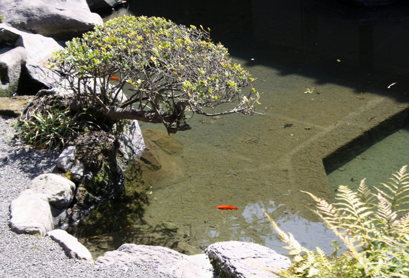 Sengan-en, villa, 仙巌園,  Iso-teien, 磯庭園, Kagoshima, Japan