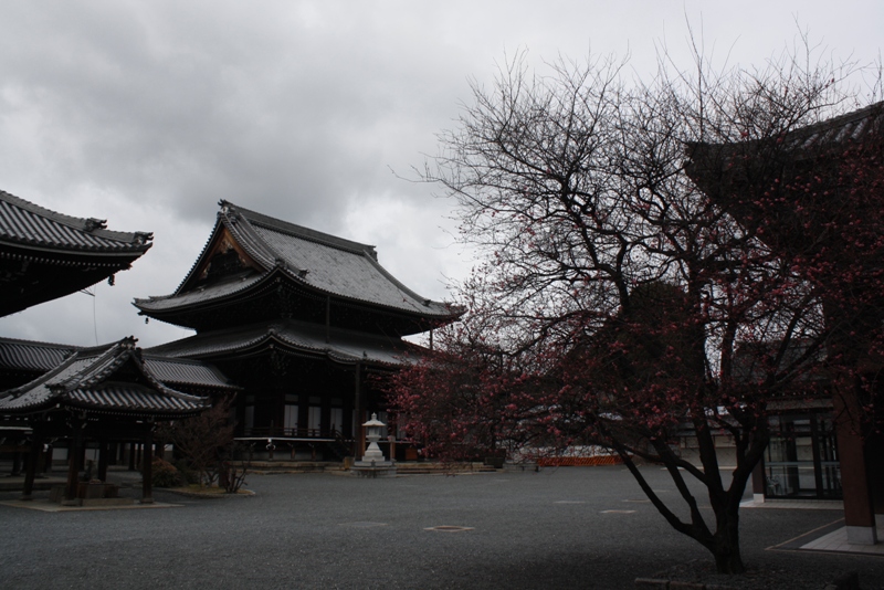 Nishi-Hongan-ji Temple, Kyoto, Japan 