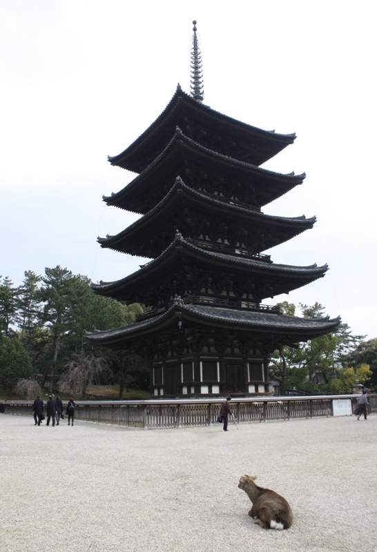 Nara-Koen, Japan