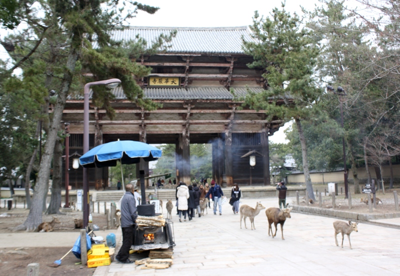 Nara-Koen, Japan