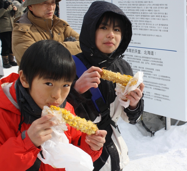 Sapporo Snow Festival, Hokkaido, Japan