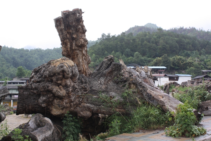   Yunnan, China