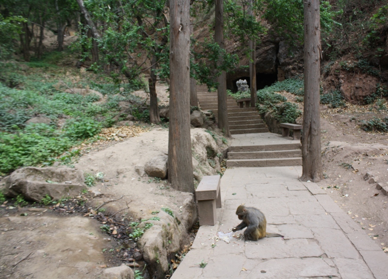 The Stone Forest, Shilin, Yunnan, China