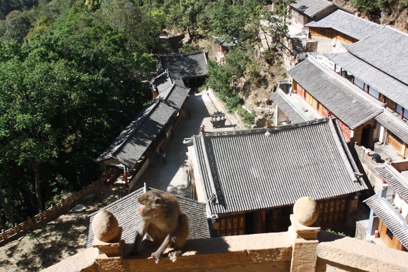 The Stone Forest, Shilin, Yunnan, China