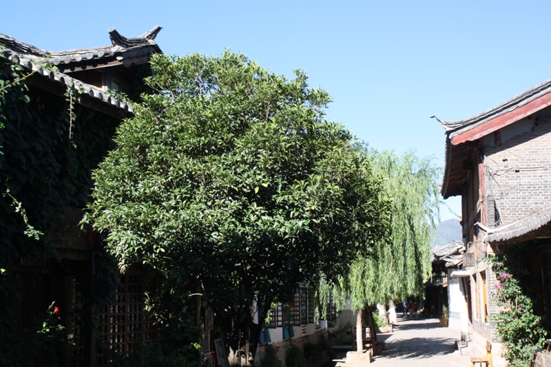 Lijiang, Yunnan, China