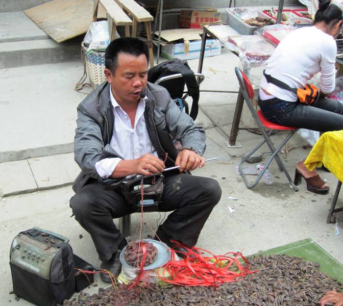 Ethnic Minority Market, Yunnan, China