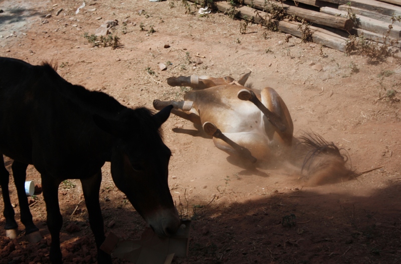 Nuo Deng Salt Village, Yunnan, China