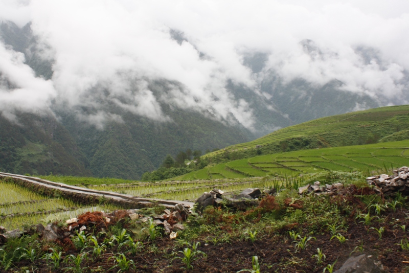 Bingzhongluo, Yunnan Province, China