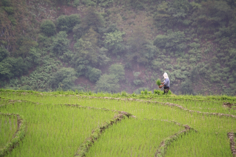 Bingzhongluo, Yunnan Province, China