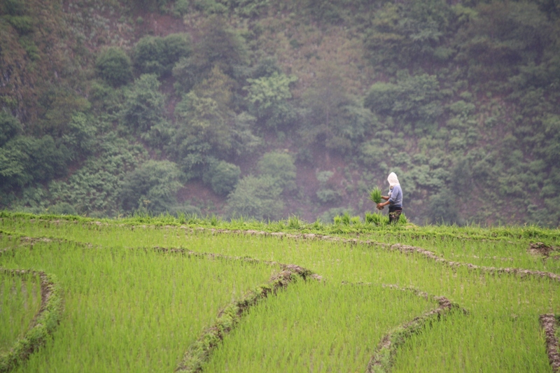 Bingzhongluo, Yunnan Province, China