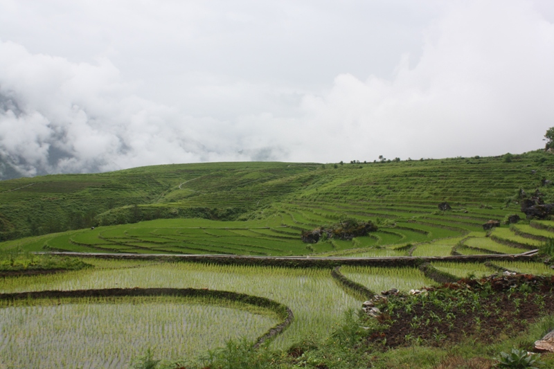 Bingzhongluo, Yunnan Province, China