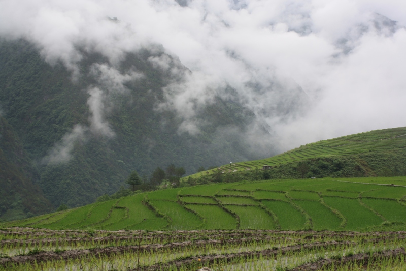 Bingzhongluo, Yunnan Province, China