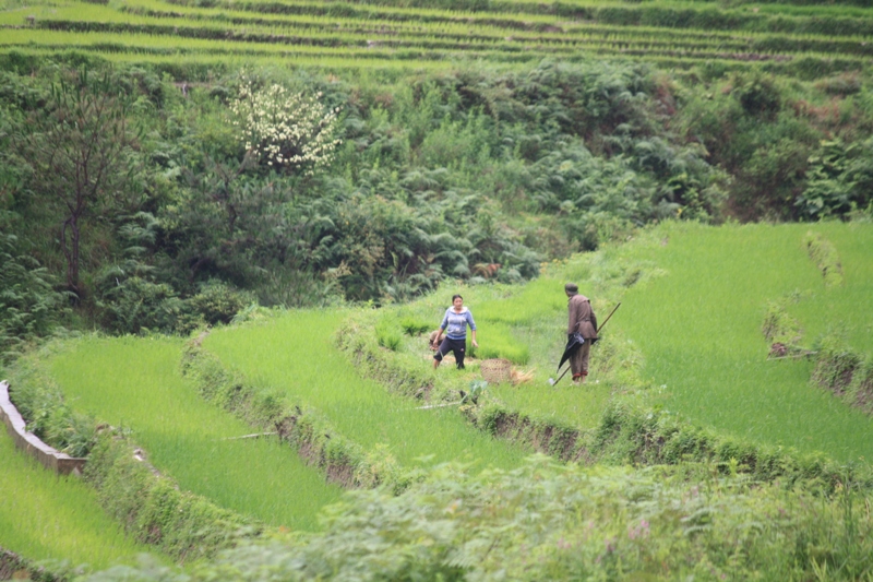 Bingzhongluo, Yunnan Province, China