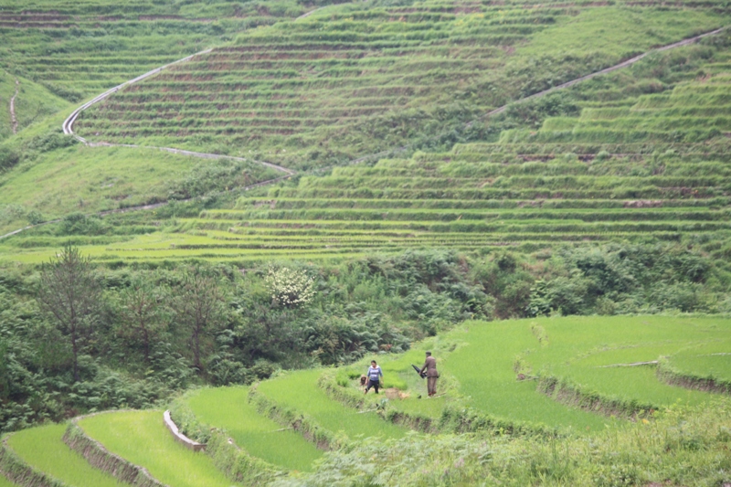 Bingzhongluo, Yunnan Province, China