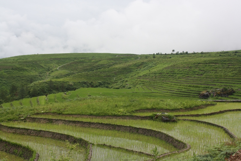 Bingzhongluo, Yunnan Province, China