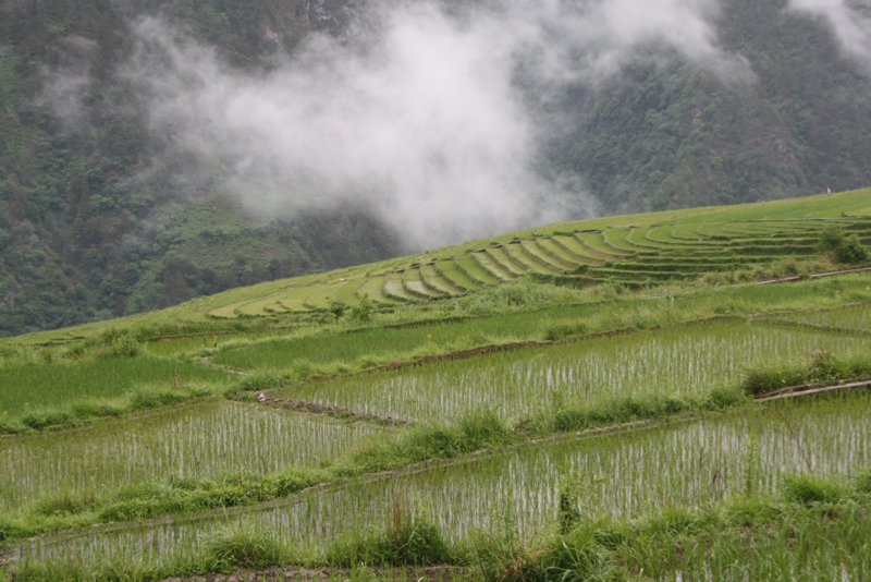 Bingzhongluo, Yunnan Province, China