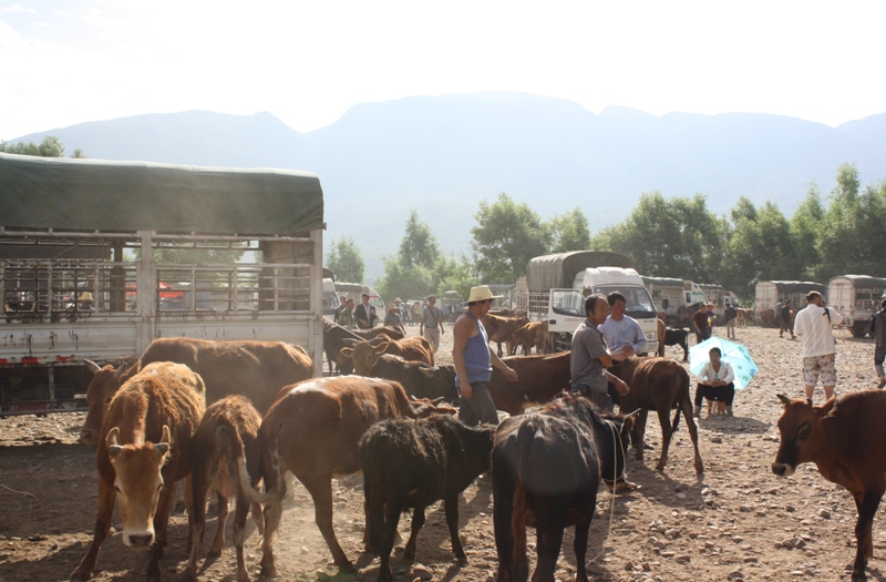 Shaxi  Yunnan Province  China