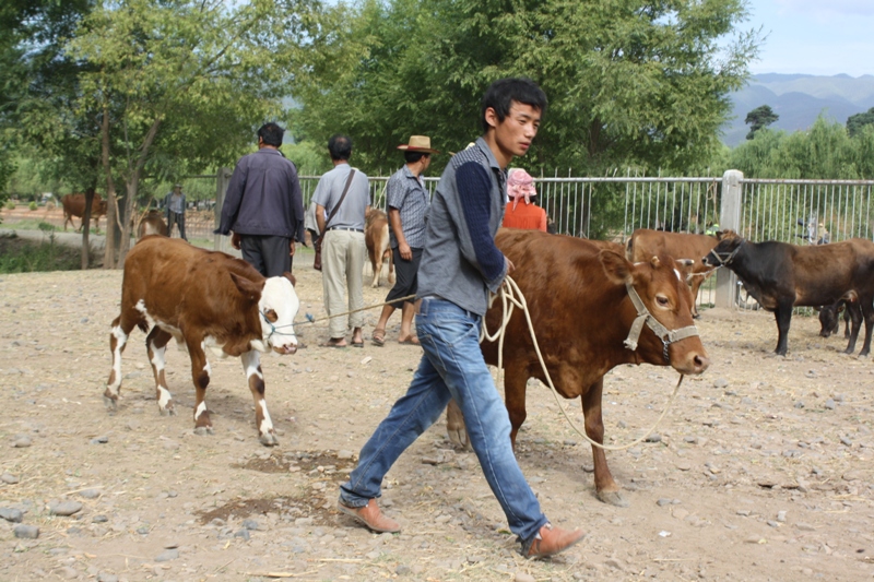 Shaxi  Yunnan Province  China