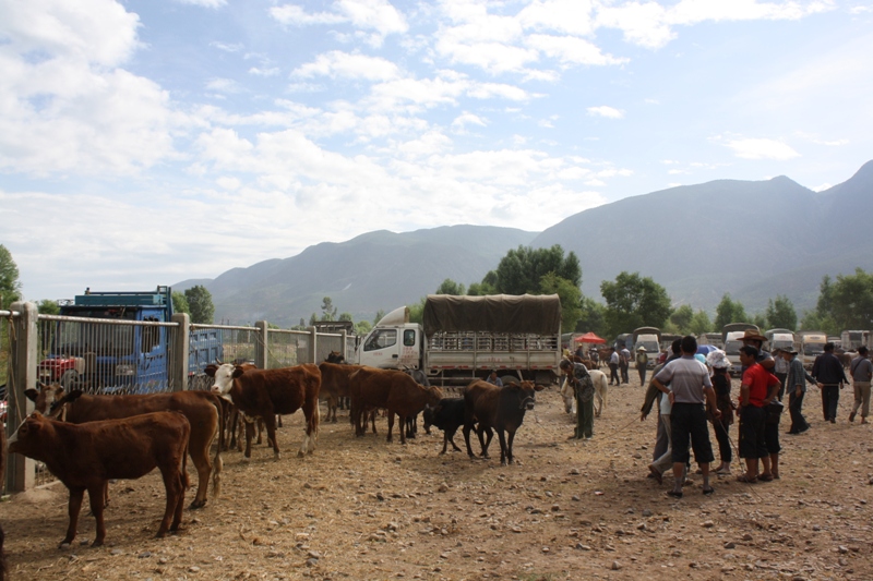 Shaxi  Yunnan Province  China