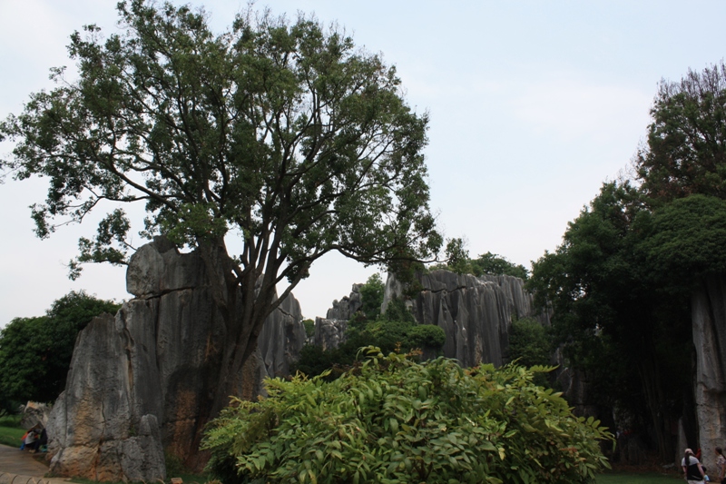 The Stone Forest, Shilin, Yunnan, China