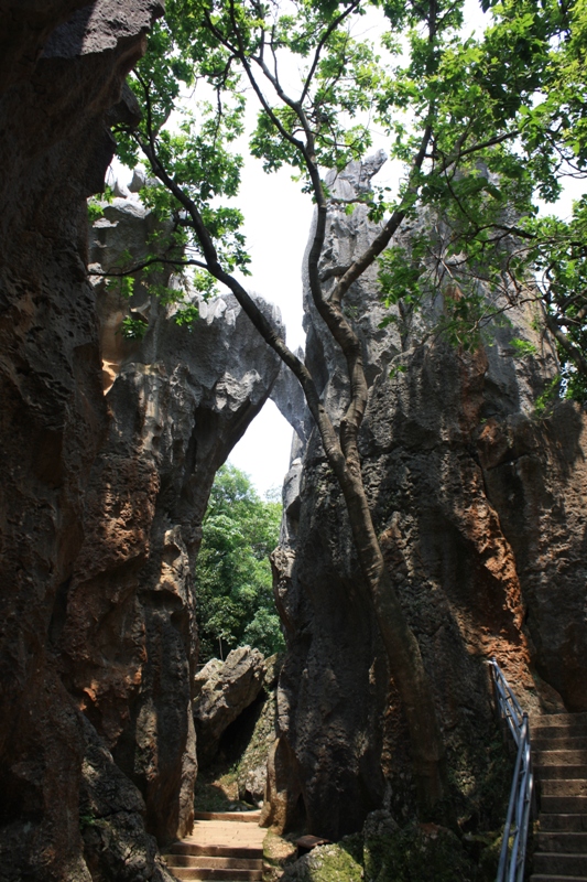 The Stone Forest, Shilin, Yunnan, China