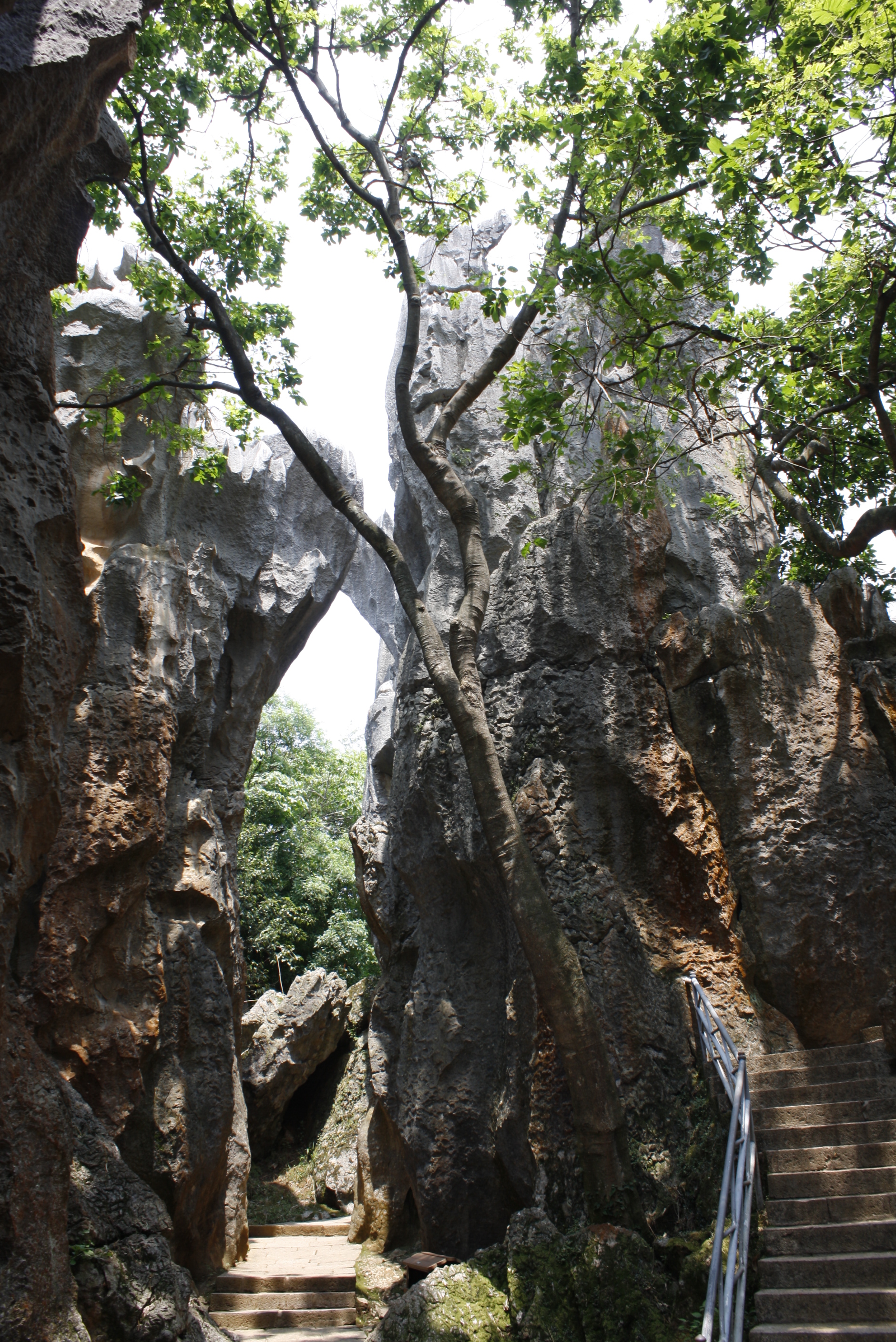 The Stone Forest, Shilin, Yunnan, China