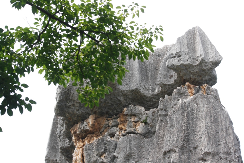 The Stone Forest, Shilin, Yunnan, China