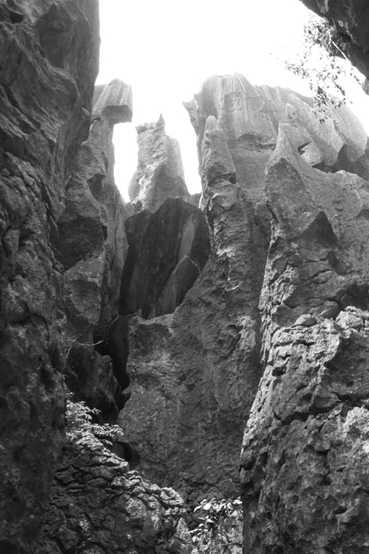 The Stone Forest, Shilin, Yunnan, China