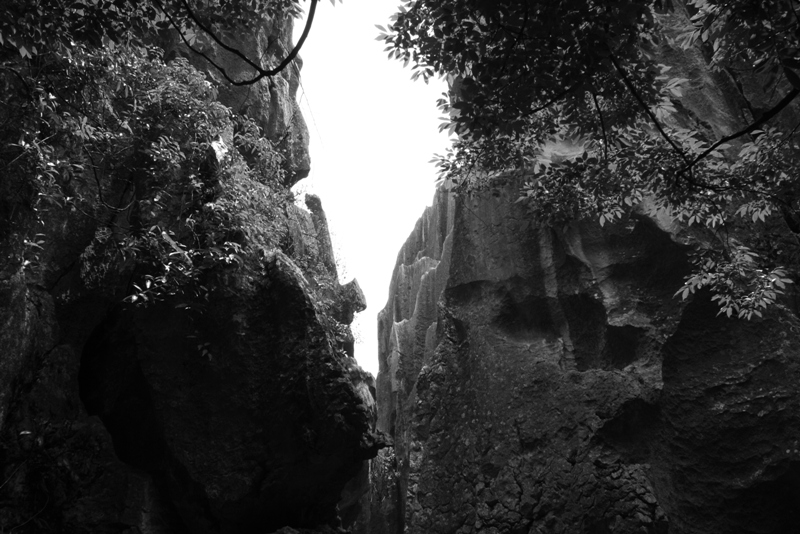 The Stone Forest, Shilin, Yunnan, China