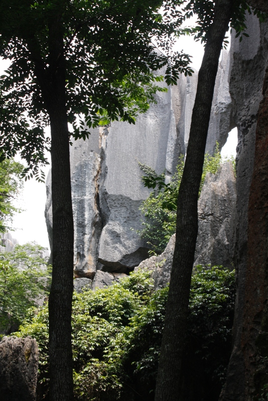 The Stone Forest, Shilin, Yunnan, China