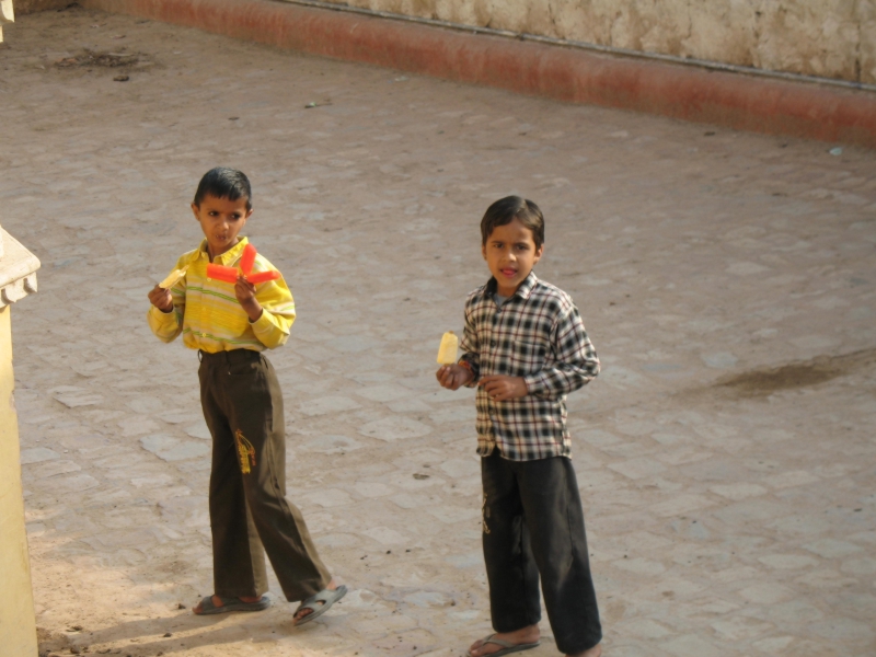 Amber. Rajasthan, India