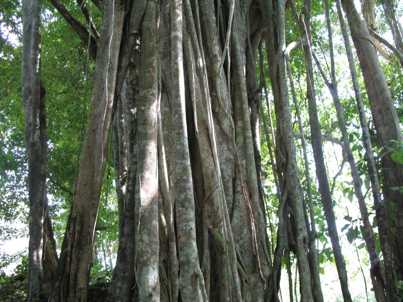 Lamanai, Belize