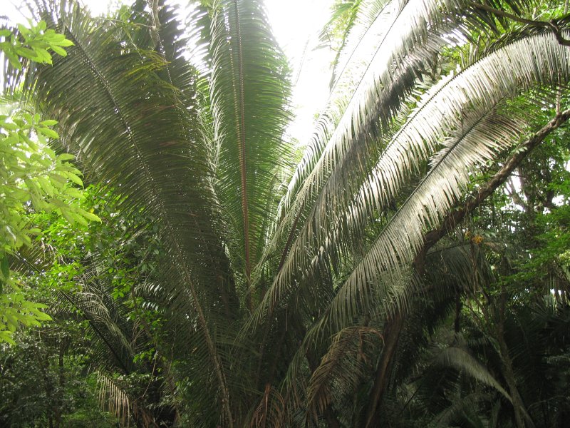 Lamanai, Belize