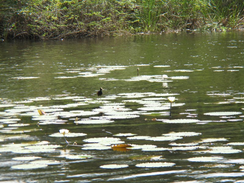  New River, Belize