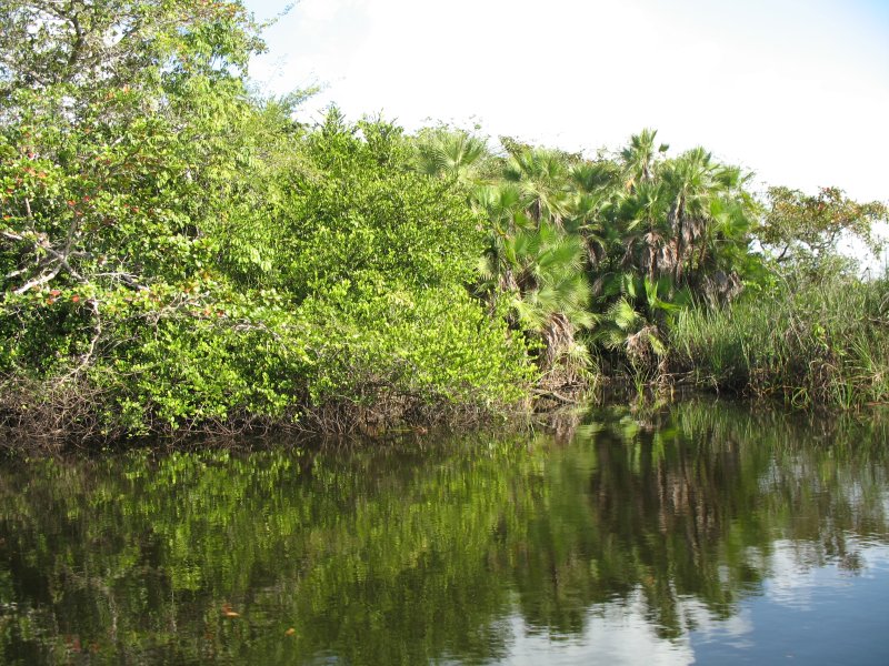  New River, Belize