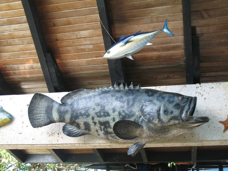 Oceanario, Island Cruise. Cartegena, Colombia