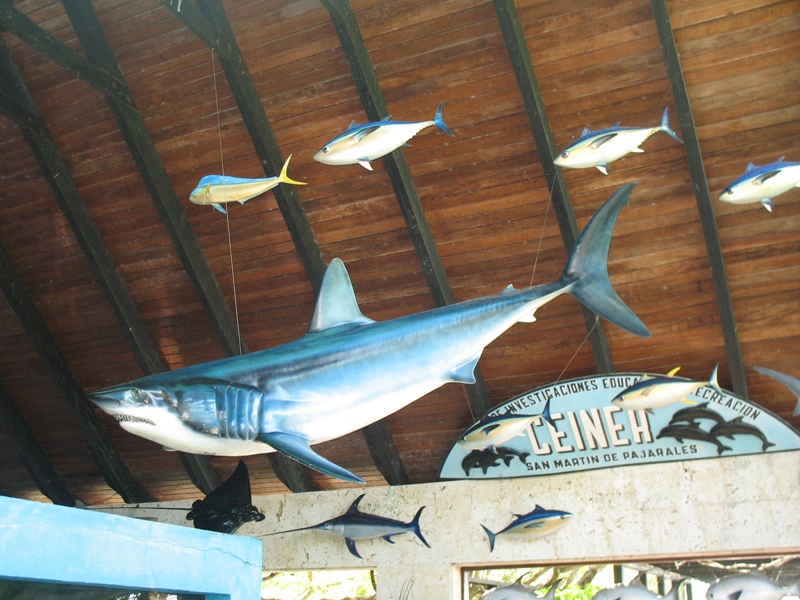 Oceanario, Island Cruise. Cartegena, Colombia