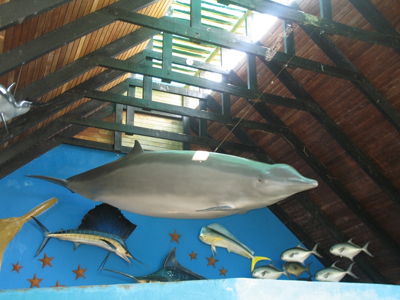 Oceanario, Island Cruise. Cartegena, Colombia