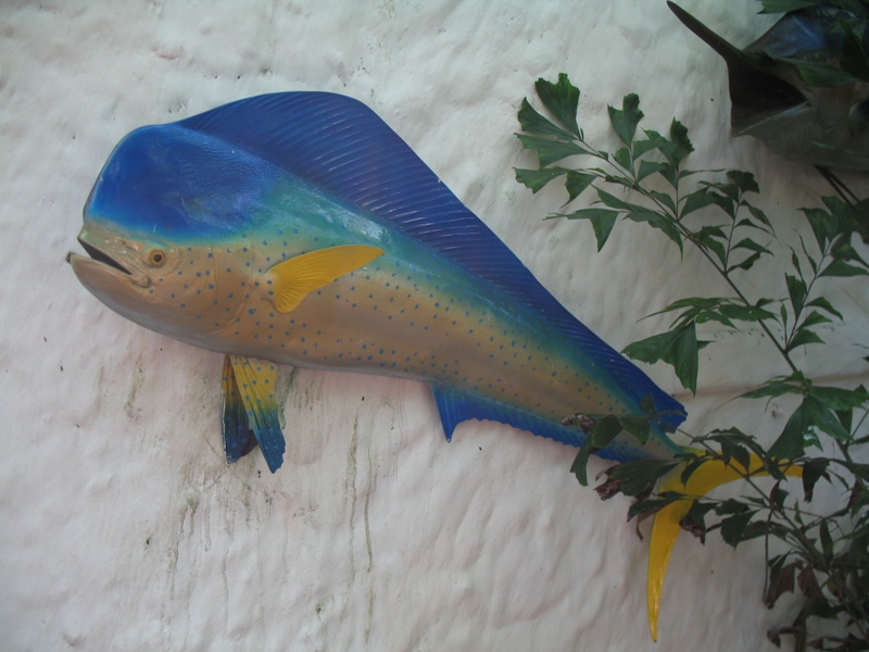 Oceanario, Island Cruise. Cartegena, Colombia