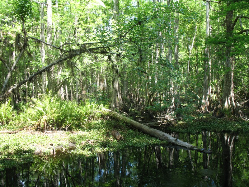 Central Florida