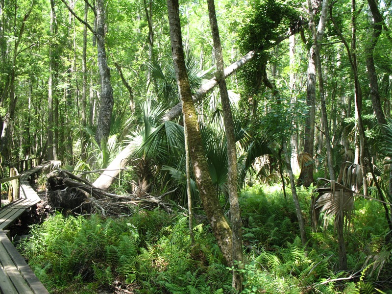 Central Florida