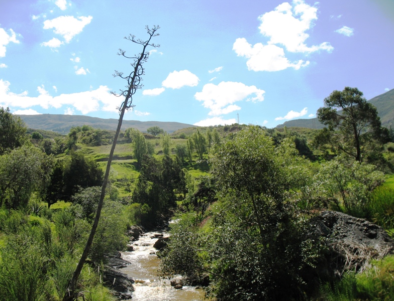  Cordillera Oriental, Colombia