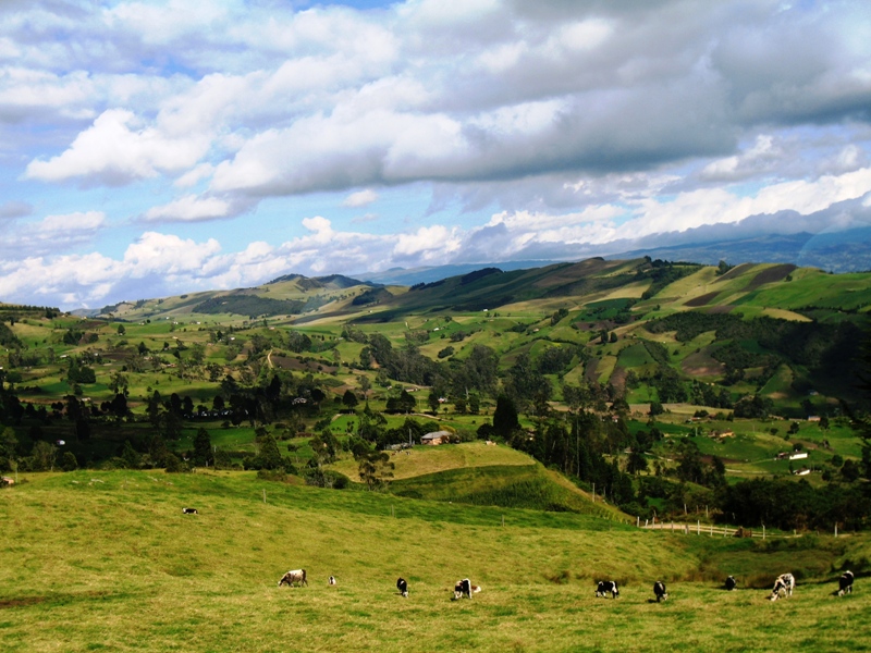  Cordillera Oriental, Colombia