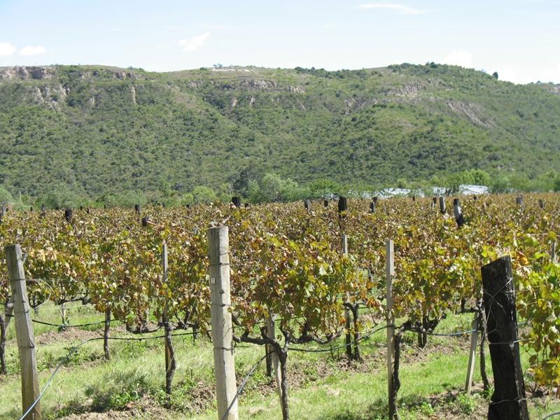 Ain Karim Winery, Villa de Leyva, Colombia